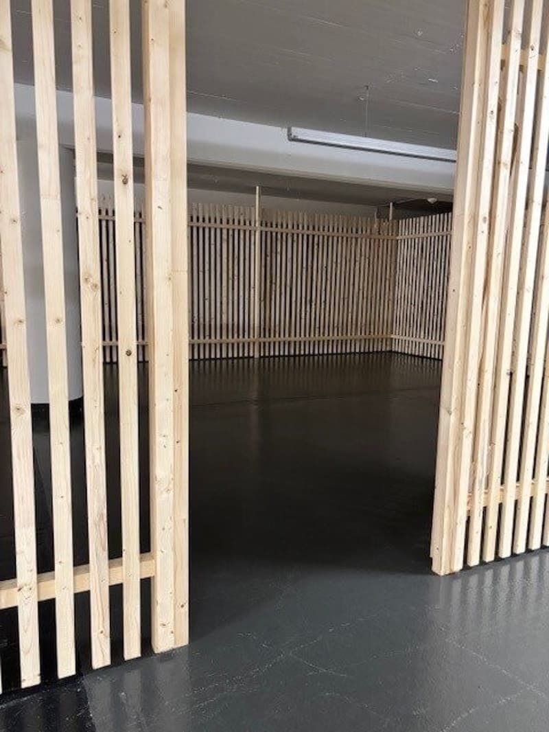 Espace de stockage pratique de 45m2 à louer à Berne (6)