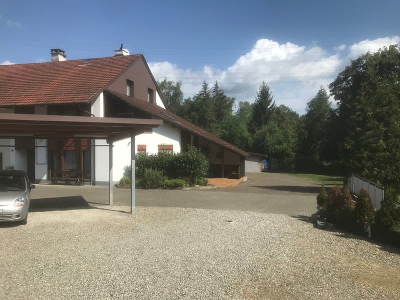 Einfamilienhaus mit Rebberg "Gewölbekeller" in Sulz AG (13)