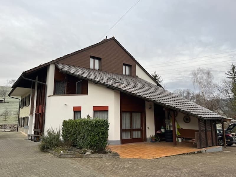 Einfamilienhaus mit Rebberg "Gewölbekeller" in Sulz AG (1)