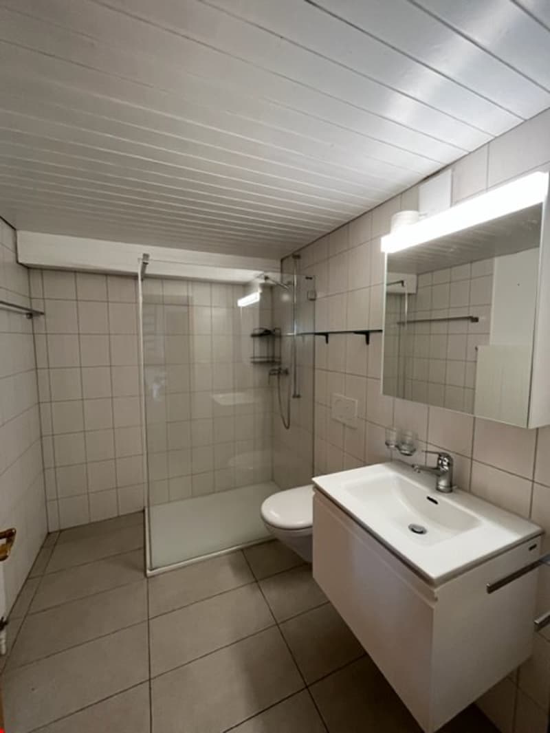 Badzimmer mit Dusche