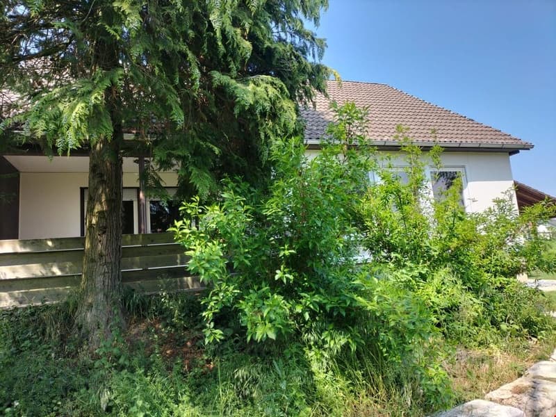 Haus an Schweizer Grenze zu Rafz / Bülach zu verkaufen (6)