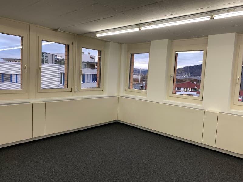 Large room, white walls, six windows, gray carpet, built-in cabinets