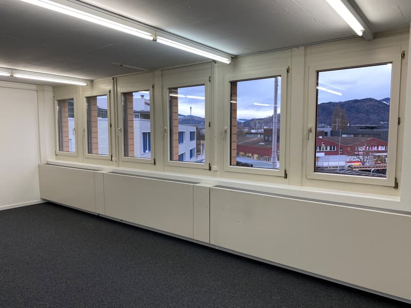 Empty room, white walls, dark carpet, white ceiling, several fluorescent lights, multiple windows with natural light