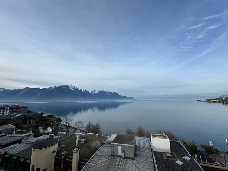 Magnifique appartement à Montreux (2)