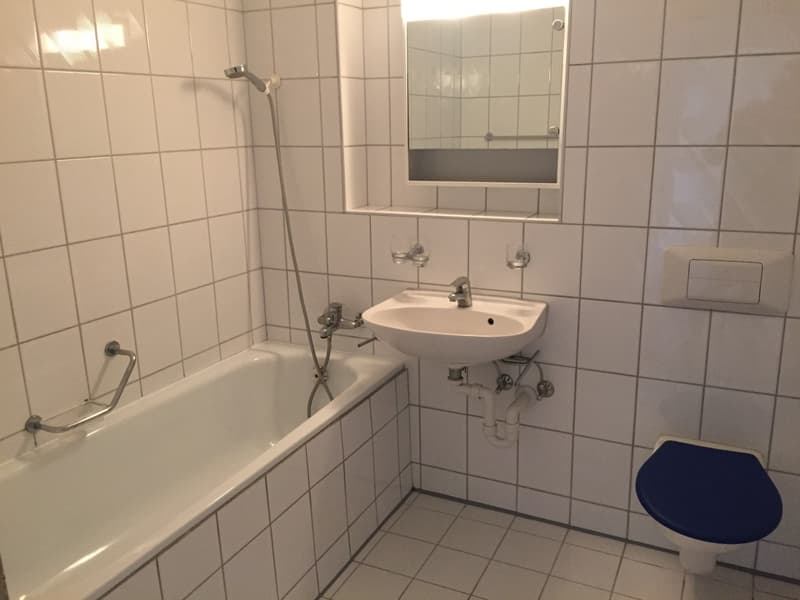 Bathroom with bathtub, sink, toilet, and mirror