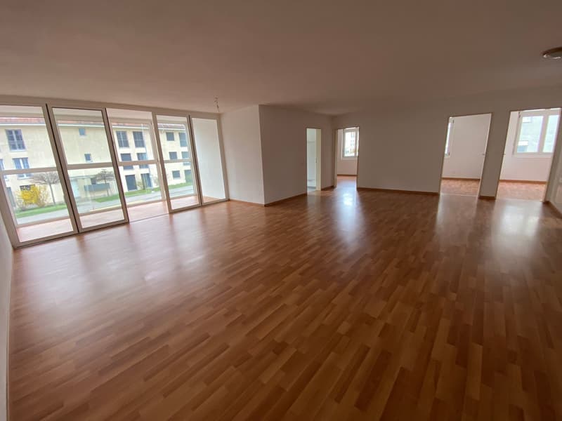 Empty room with wooden flooring, large windows, and multiple doors leading to other spaces.