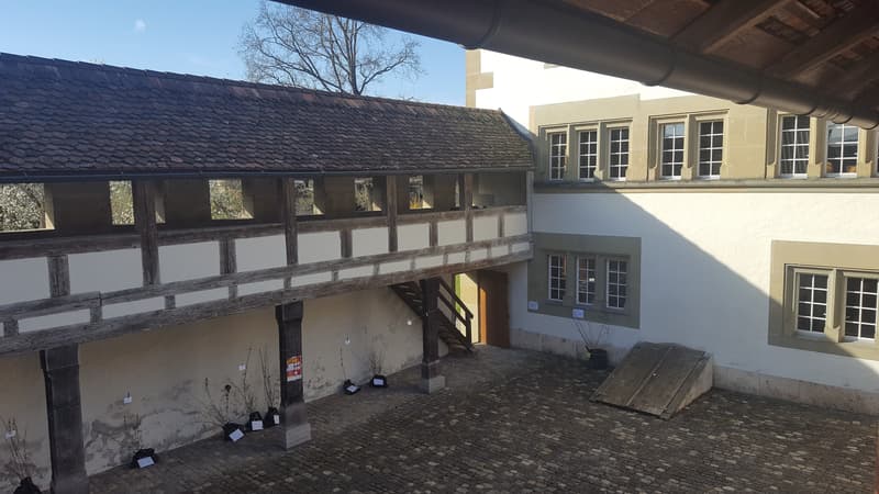 Helles Büro im Schloss Schwarzenburg (8)