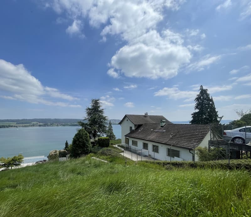 4.5-Zimmer Villa mit grossartiger See- und Alpensicht (1)