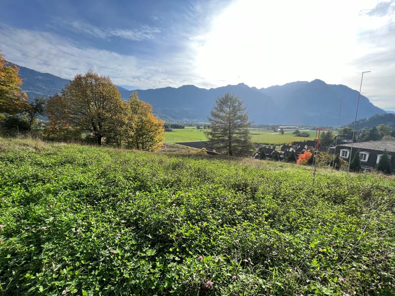 hillside with dense shrubs, mountain views, trees, clear sky