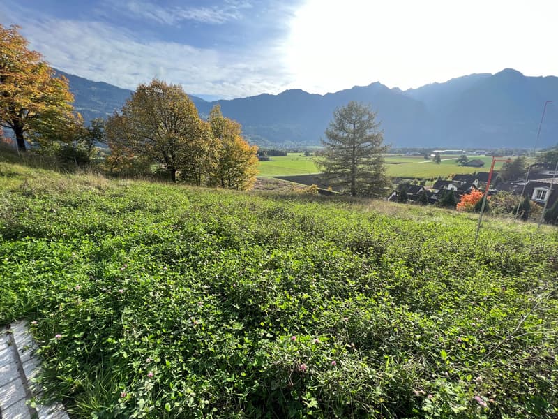 green field with flowers, distant houses, mountains in background