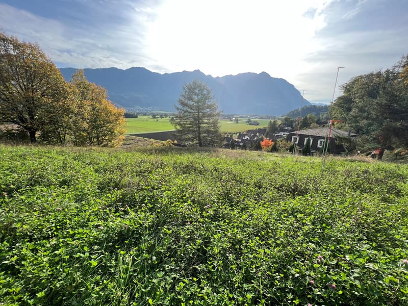 lush green field, trees, distant village, mountains in the background