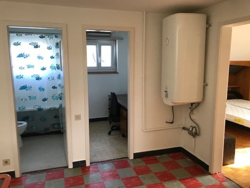 Appartement avec charme et de nombreuses possibilités. (7)