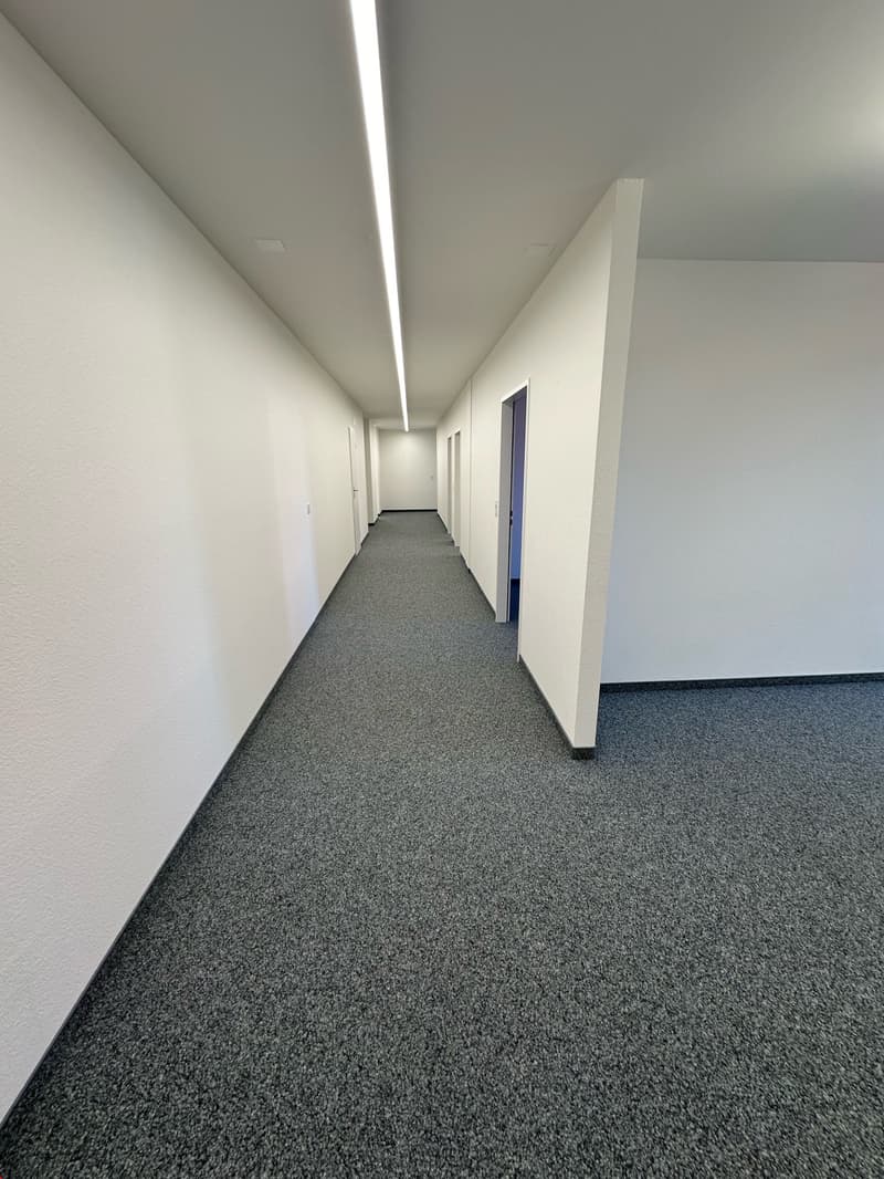 Grosszügiges 210.5m2 Büro an zentraler Lage (10)