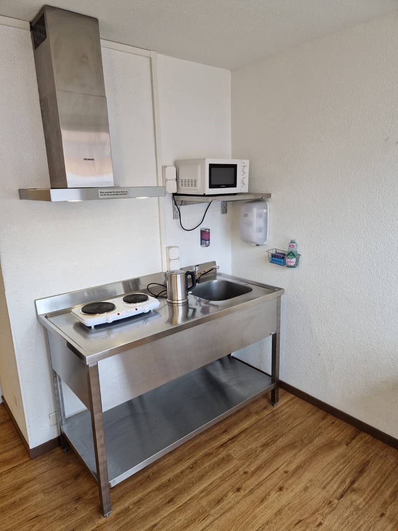 Compact kitchenette with stainless steel countertop, electric stove, microwave oven, and a washing machine and dishwasher installed below the counter.