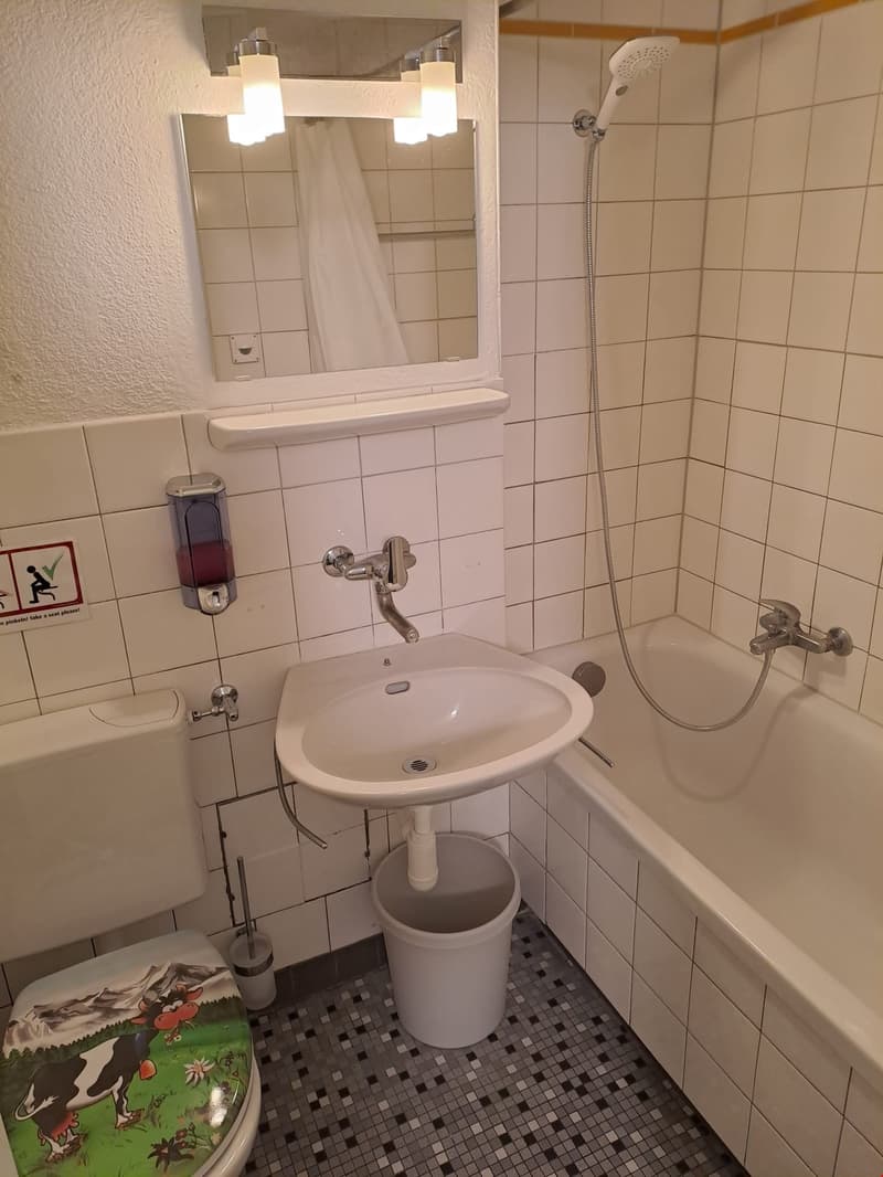 The image shows a bathroom with white tile walls, a vanity with a mirror and lighting, a sink, and a shower with a handheld showerhead. The floor is tiled with a black and white mosaic pattern. There is a toilet and a small trash can visible as well.