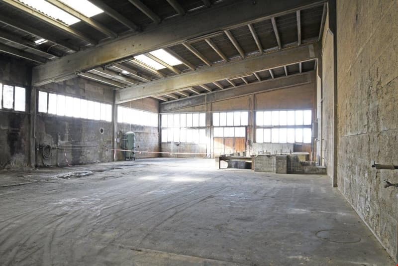Large open industrial space with concrete floor, exposed wooden beams and trusses, and large windows allowing natural light to enter the space.