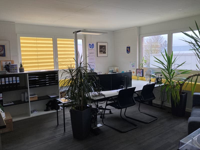 Uffici luminosi (189m2) (11)
