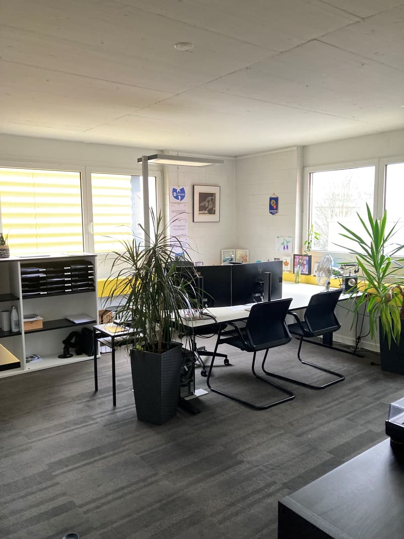 Uffici luminosi (189m2) (9)