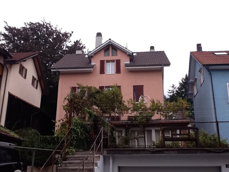 2.5-Dachwohnung mit Cheminée und Dachterrasse (1)