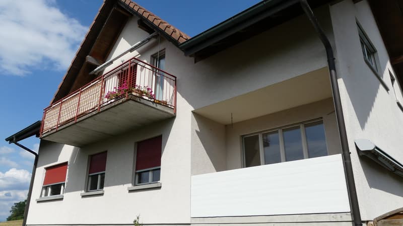 3.5 Zimmerwohnung in Zweifamilienhaus im Zentrum von Schmitten (1)