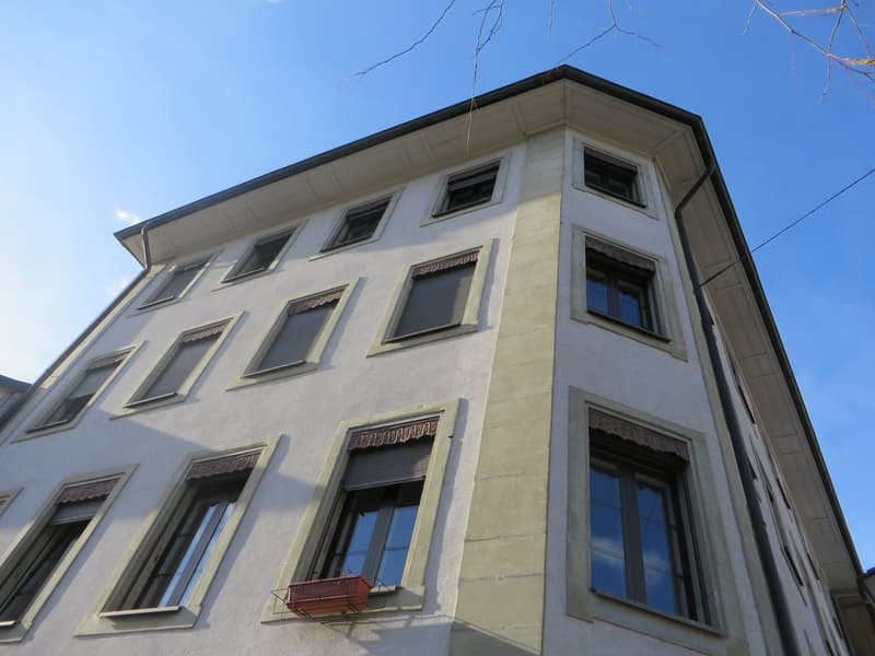 Duplex-/Maisonette-Wohnung in Freiburg (1)