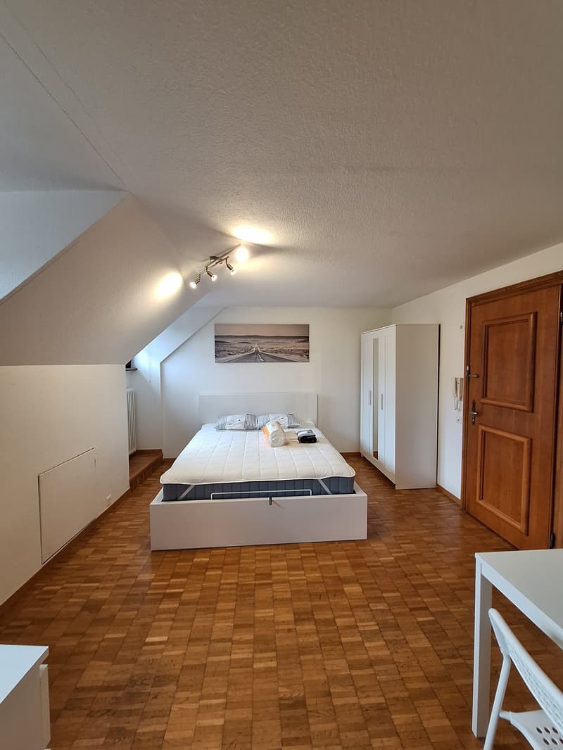 Befristet: 2 Zimmer-Wohnung direkt am Rhein! (2)