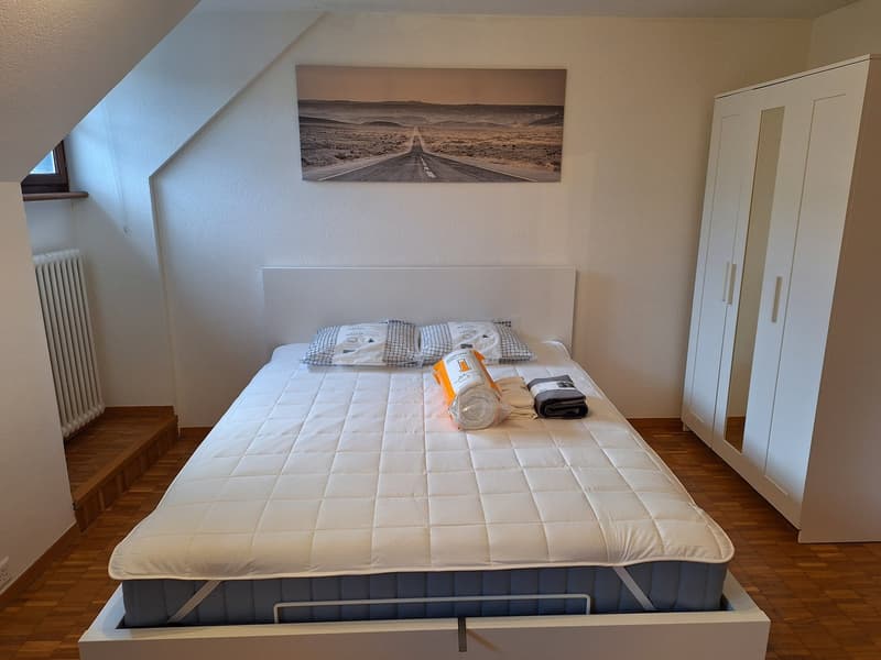 Befristet: 2 Zimmer-Wohnung direkt am Rhein! (8)