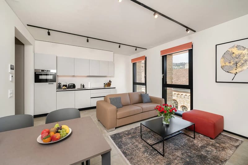 Lussuosi Appartamenti 2.5 con Balcone arredati - Luxury fully furnished One Bedroom Apartments (2)