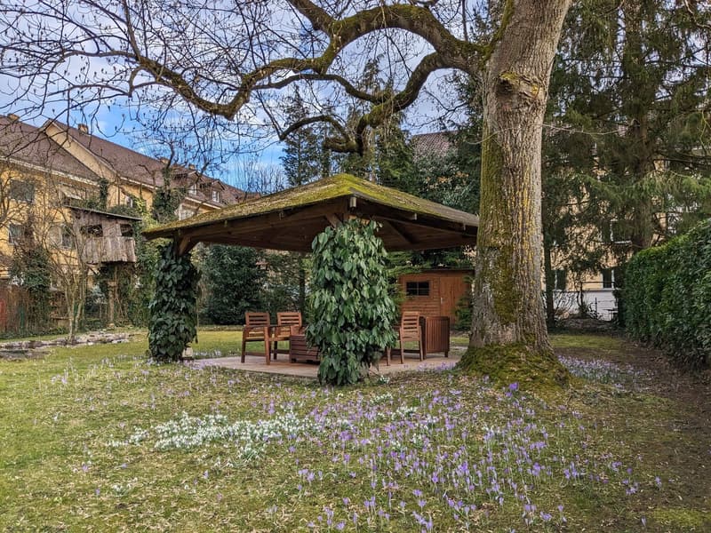 Möblierte 8.5 Zimmer Wohnung im Herzen von Bern für 1 Jahr befristet zu vermieten (1)