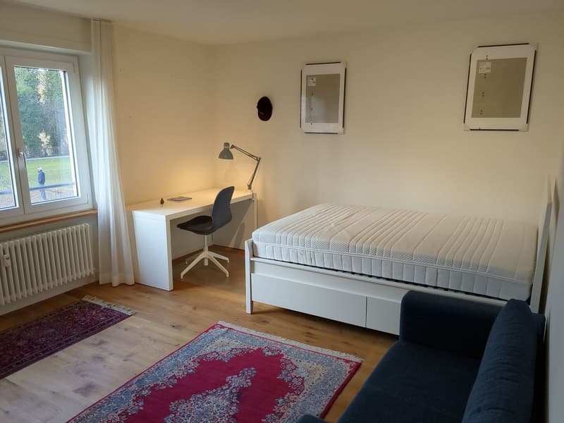 Möblierte 11.5 Zimmer Wohnung im Herzen von Bern für 1 Jahr befristet zu vermieten (11)