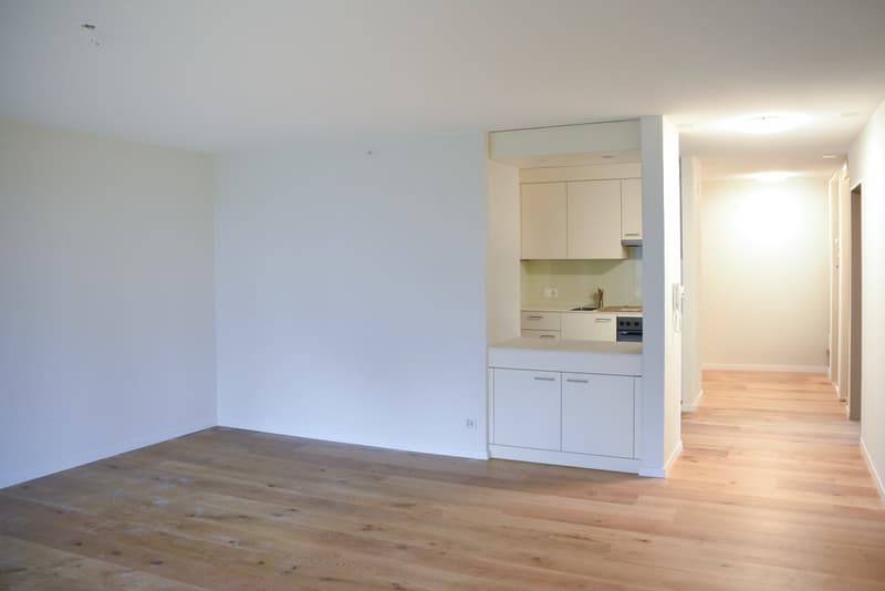 Neu renovierte 4-Zimmer-Wohnung im Parterre (1)