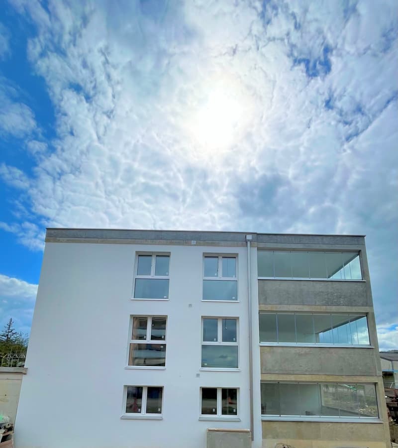 Neubau: Moderne 3-Zimmer-Terrassenwohnung in Füllinsdorf an top Lage (2)