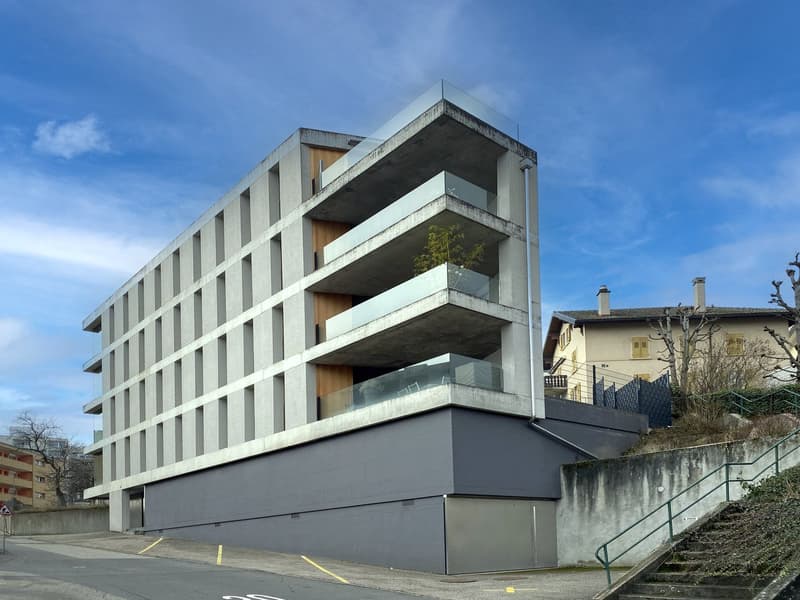 Loft à Neuchâtel (1)