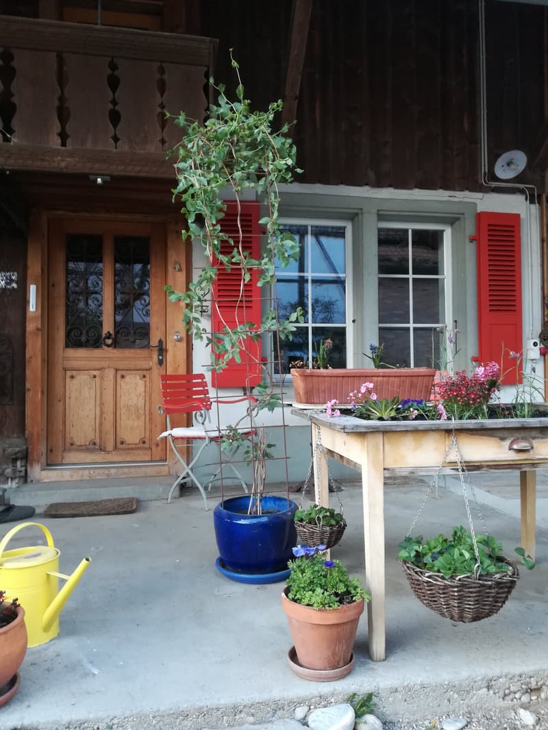 Stilvoll + ökologisch renoviertes Bauernhaus in Kerzers mit Baulandreserve / Pferdehaltung (2)
