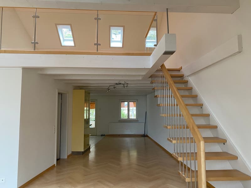 Grosse Loft-Dachwohnung mit Galerie und Balkon zu vermieten (2)