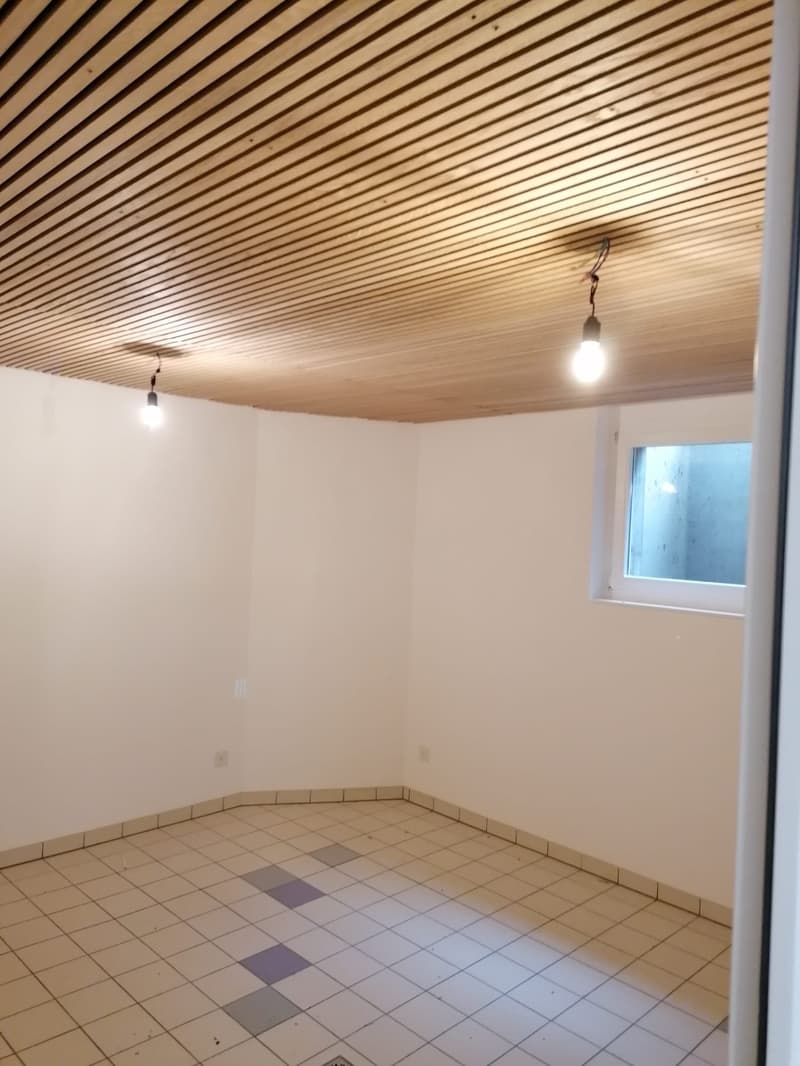 Duplex-/Maisonette-Wohnung in Schmitten FR (15)