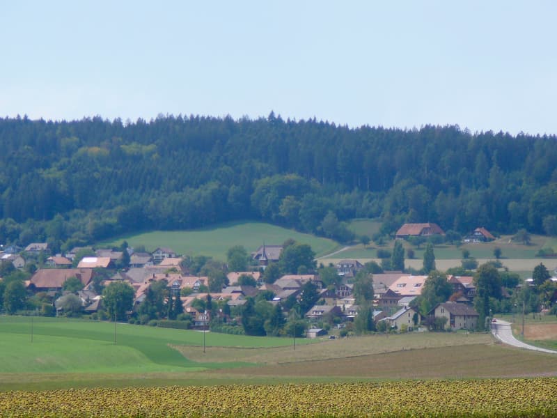 Bauerndorf Meikirch