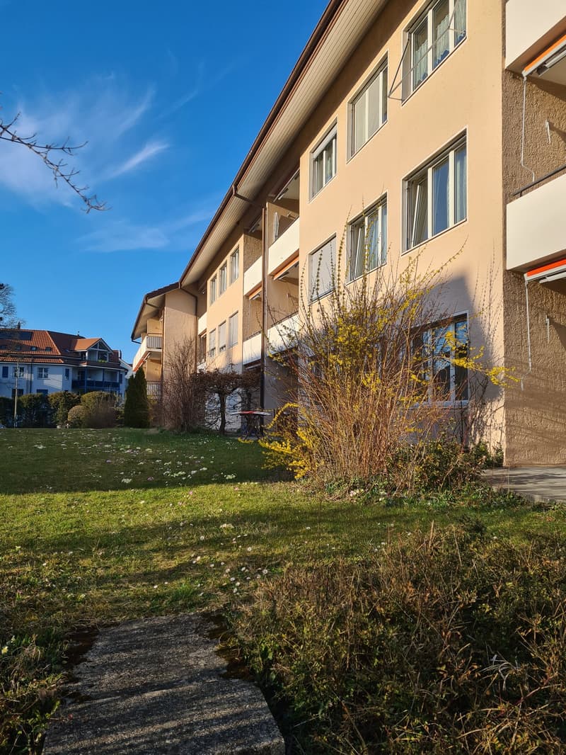 Gemütliche 6-Zimmer-Wohnung in Winterthur-Hegi (1)
