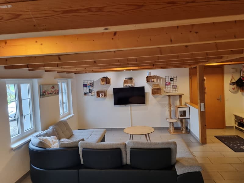 Duplex-/Maisonette-Wohnung in Merenschwand (7)