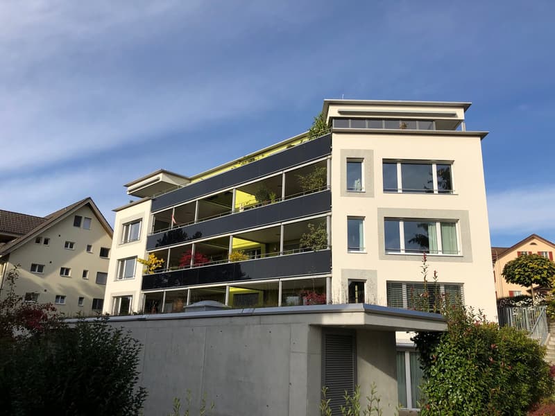 Moderne 7.5-Zimmer-Wohnung im Zentrum von Hedingen (1)