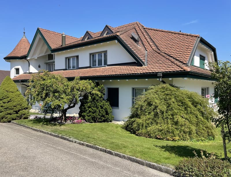 Doppeleinfamilienhaus in Schötz (1)