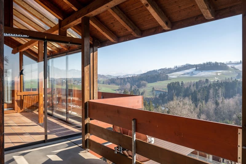 Traumhaftes Einfamilienhaus an unverbaubarer Lage, mit einmaliger Alpen- und Jura-Sicht! (1)