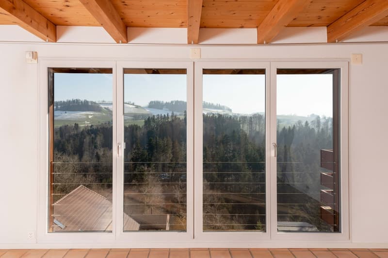 Traumhaftes Einfamilienhaus an unverbaubarer Lage, mit einmaliger Alpen- und Jura-Sicht! (13)