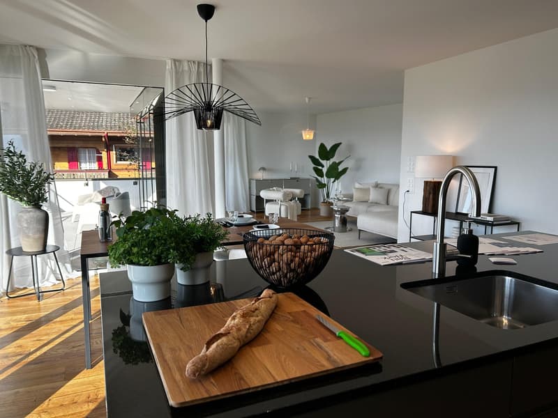 open kitchen, living room, dining area, balcony, modern design, potted plants, white curtains, wooden floor, black marble countertop, stainless steel sink, faucet, walnut bowl, cutting board, loaf of bread, kitchen light fixtures, couches, coffee table, s