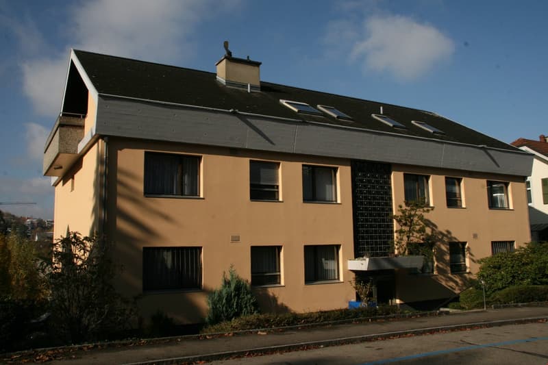 5.5 Zimmer Wohnung an zentraler Lage in Binningen (1)