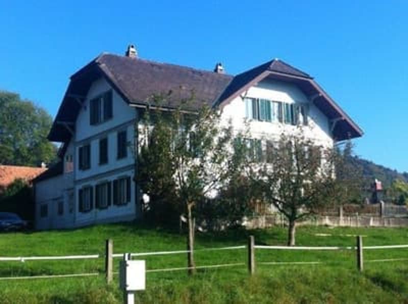 Terrassenwohnung in Kleindietwil (1)