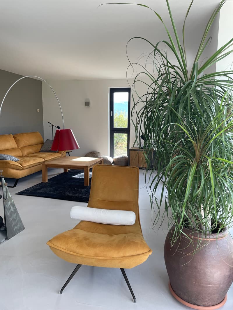 Maison individuelle avec studio indépendant en Gruyère (5)