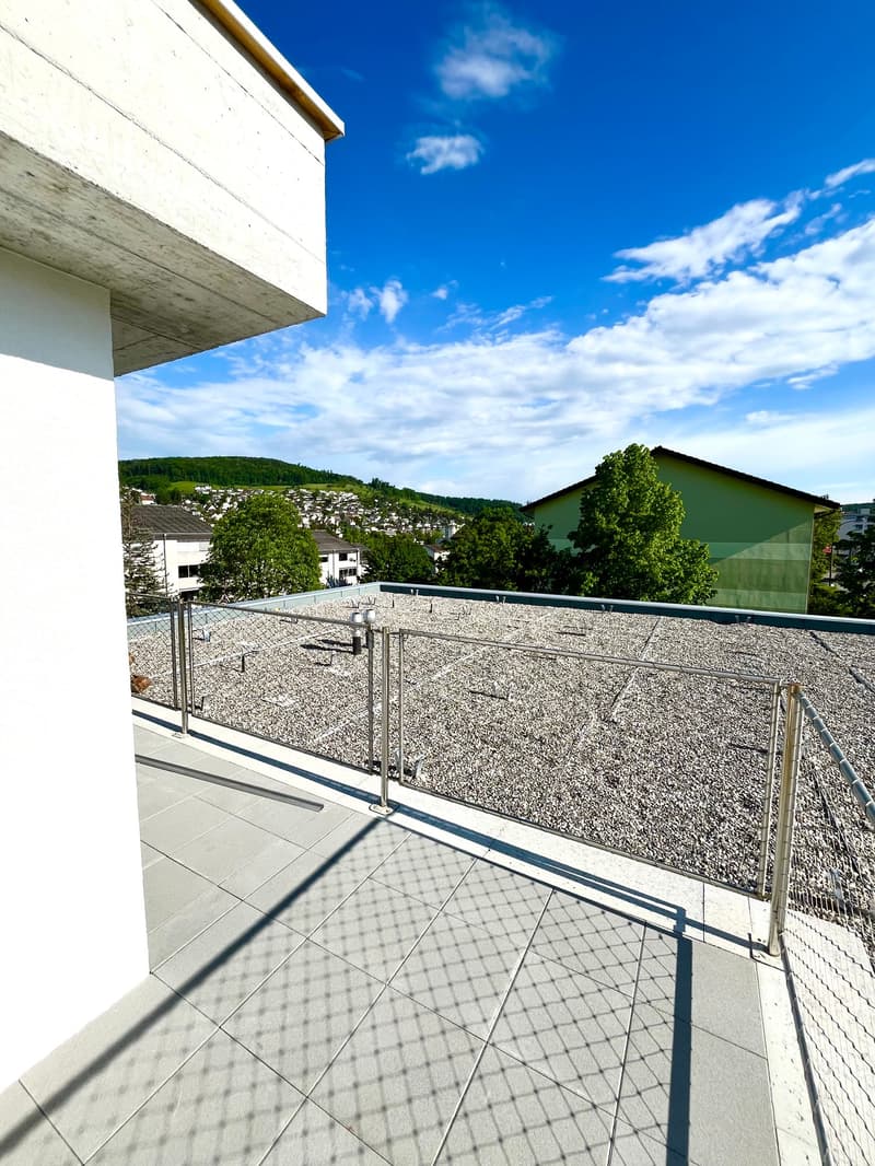 3.5-Attikawohnung mit grosser Terrasse und Ausblick auf eigenem Stock an top Lage (2)