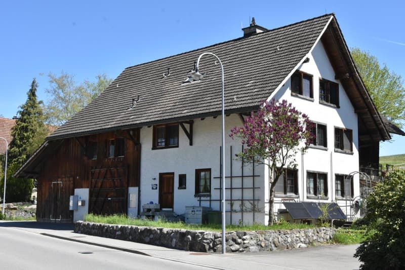 Mehrfamilienhaus in Rifferswil (1)