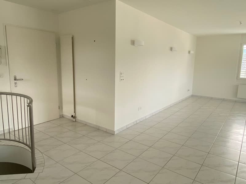 Duplex-/Maisonette-Wohnung in Reinach BL (8)